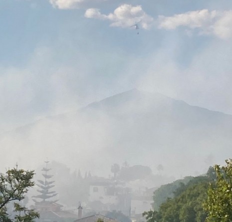 Incendio San Pedro