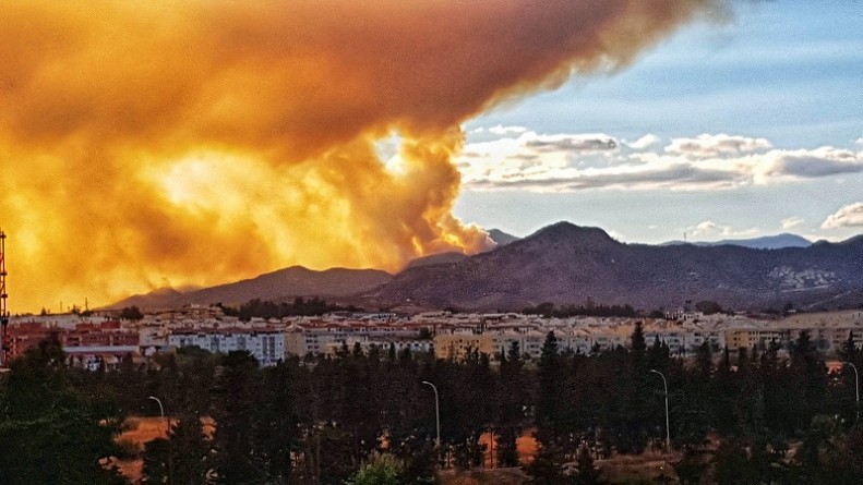 Humo incendio