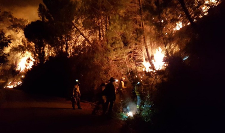 Incendio Sierra Bermeja