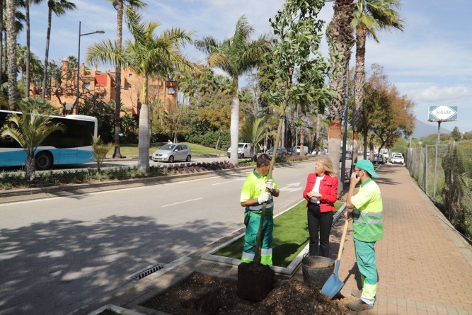 Obras de ajardinamiento en la Avenida Príncipe Salam