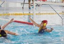 Los primeros equipos del Waterpolo Málaga, a seguir tomando el pulso a las competiciones